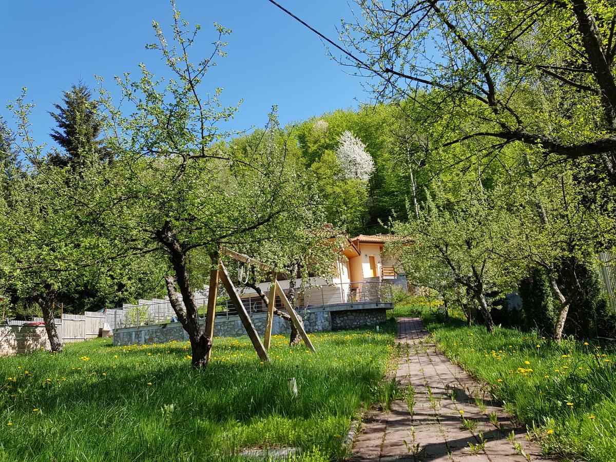 Vila Faletici Villa *